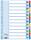 ESSELTE Karton-Register blanko A4 12-teilig mehrfarbig (3310016900
