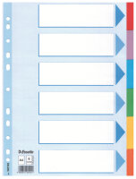 LEITZ Register blanko Karton A4 6 Blatt weiß...