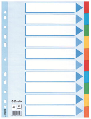 LEITZ Register blanko Karton A4 10Blatt weiß farbige Taben