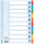 LEITZ Register blanko Karton A4 10Blatt weiß farbige Taben
