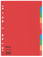 LEITZ Register 10Blatt 160 g/m2 Karton...
