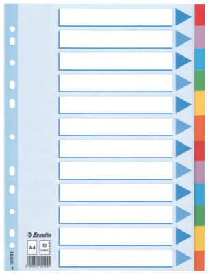 LEITZ Register blanko Karton A4 12 Blatt weiß farbige Taben