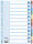 LEITZ Register blanko Karton A4 12 Blatt weiß farbige Taben