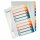 LEITZ 1293 Zahlenregister PP blanko bedruckbar A4 Überbreite 10Blatt farbig
