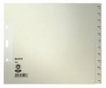 LEITZ Register A4 5ST grau BxH 24x20cm Monate JanDez...