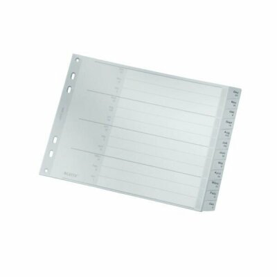 LEITZ 1288 Monatsregister DezJan A4 PP 12 Blatt grau