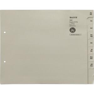 LEITZ Registerserie A4 75tlg. grau