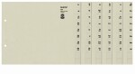 LEITZ Registerserie A4 Papier grau A 4 200 Ordner...