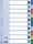 LEITZ Register A4 blanko bunt 10tlg. REGIST.A4 PL.10BL FBG.T. 15261 Farbregi