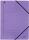 LEITZ 3980 Eckspanner A4 250Blatt PendarecKarton (RC) violett