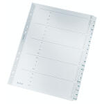 LEITZ 4328 Register AZ Karton A4 20Blatt grau