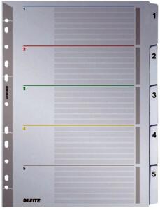 LEITZ Register A4 15 grau REGIST.A4 KTN 15 43300000 WIEDERBESCH