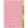 LEITZ 4340 Register blanko Papier A4 10Blatt Taben 2x 5farbig