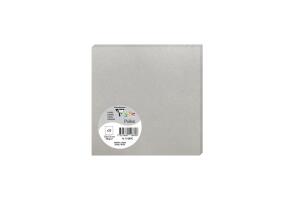 Clairefontaine Karte Pollen 135x135 silber