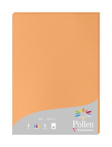 Clairefontaine Papier A4 Pollen 160g clementine 50Bl