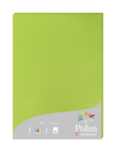 Clairefontaine Papier A4 Pollen 160g minze 50Bl