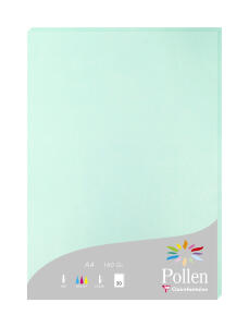 Clairefontaine Papier A4 Pollen 160g jadegrün 50Bl