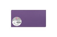 Clairefontaine Karte DL Pollen 210g violett