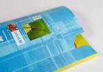 Clairefontaine Ringbucheinlagen A4 F-Lineatur 100Bl