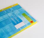 Clairefontaine Ringbucheinlagen A4 F-Lineatur 100Bl