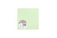 Clairefontaine Karte Pollen 135x135 210g grün