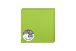 Clairefontaine Doppelkarte 160x160 Minze
