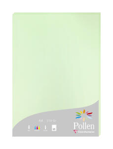 Clairefontaine Papier A4 Pollen 210g grün 25 Bl