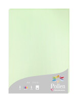 Clairefontaine Papier A4 Pollen 210g grün 25 Bl