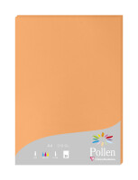 Clairefontaine Papier A4 210g clementine 25Bl
