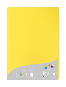 Clairefontaine Papier A4 210g sonne 25Bl