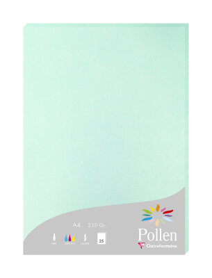 Clairefontaine Papier A4 Pollen 210g jadegr 25 Bl