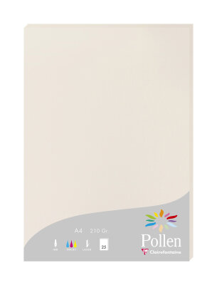 Clairefontaine Papier A4 Pollen 210g grau 25 Bl