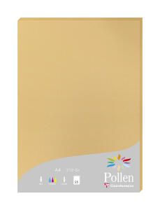 Clairefontaine Papier A4 210g karamel 25Bl