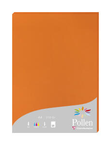 Clairefontaine Papier A4 Pollen 210g kapuzinerrot 25Bl