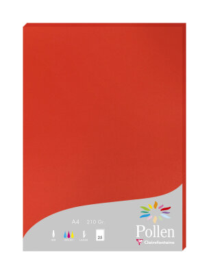 Clairefontaine Papier A4 210g korallenrot 25Bl