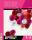 Maildor Tonpapier 130g A3 Bloc 10 Farb 30Bl