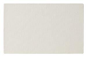 Clairefontaine Leinwand 3mm 22x14cm Landsch 1P