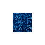 Maildor Holgrammpapier 50x35 10Bl sort