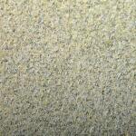 Clairefontaine 250 Bg Etiv Color CHAMPAGNE 160G 50