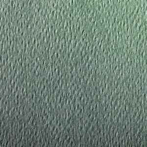 Clairefontaine Etival Col 160g 50x65 250B Dunklgrü