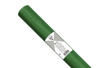 Clairefontaine Seidenpap 24Bl 50x75cm grün