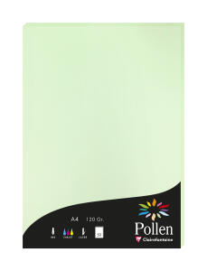 Clairefontaine Papier A4 Pollen 120g grün 50Bl