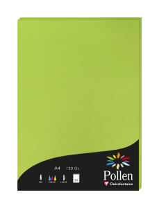 Clairefontaine Papier A4 Pollen 120g minze 50Bl