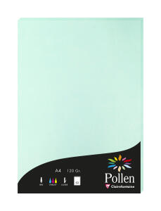 Clairefontaine Papier A4 Pollen 120g jade 50Bl