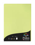 Clairefontaine Papier A4 Pollen 120g knospengrün 50Bl