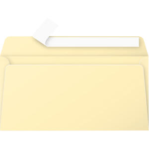 Clairefontaine Umschlag DL Pollen 120g chamois