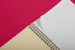 Clairefontaine Pocketbook A5+ mikrop GZ lin 60Bl