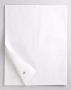 Rhodia Kraftpap 60g 1x0.7m 25Bg weiss