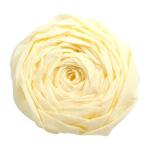 Maildor Krepppapier 10 Bg M40 2x0.5m elfenb