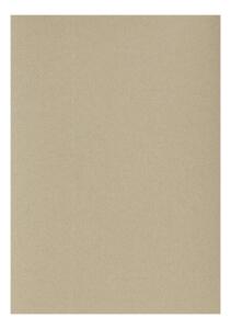 Clairefontaine Zeichenpapier A4 160g champagner 5B